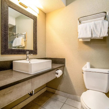 Regency Inn & Suites, Доуни — фото 3