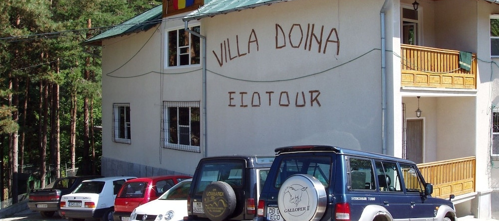 Vila Doina Ecotour, Мороени — фото 1