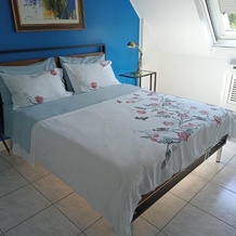Maison da Paola, Basiglio — photo 5