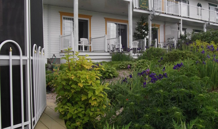 La Maison Harvey Lessard B&B, Тадуссак — фото 1