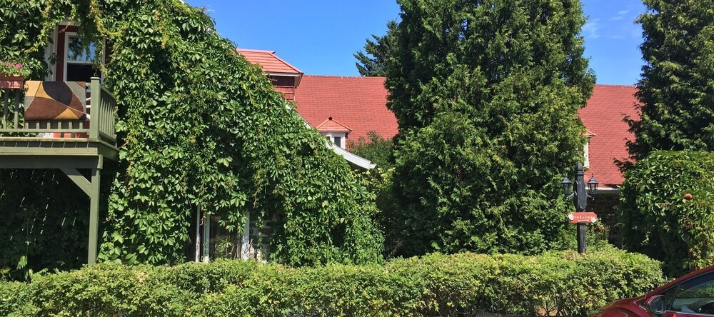 Auberge La Coudriere-Cool Hotel, 库德尔岛 — 照片 1