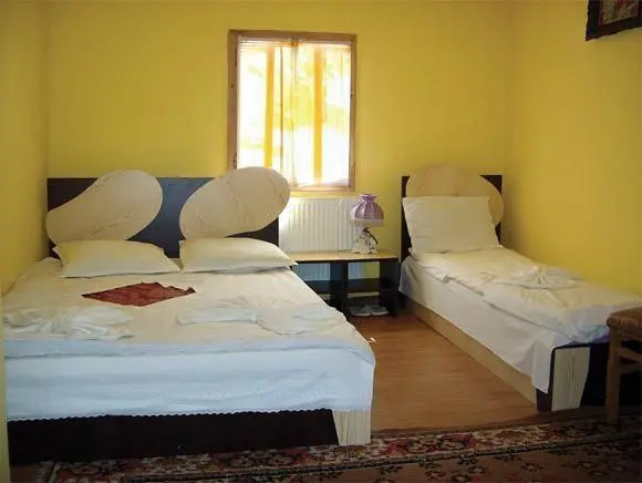 Pensiunea Juliana Arieseni, Ариесени — фото 1
