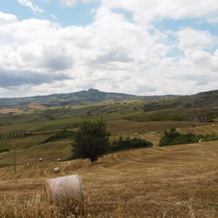 Noi 2 Vacanze In Relax House Val D'orcia, Радикофани — фото 4