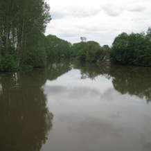 Le Petitepinay, Moitron-sur-Sarthe — photo 2
