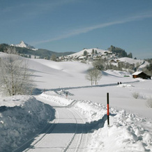 Ferienwohnung, 2 Schlafzimmern, Südbalkon, Saunanutzung, 韦尔蒂 — 照片 4