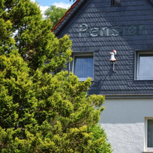 Pension Landhaus Machold, 弗里德里希罗达 — 照片 4