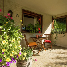 Feriendorf Reinskopf in der Eifel, 舍内肯 — 照片 4