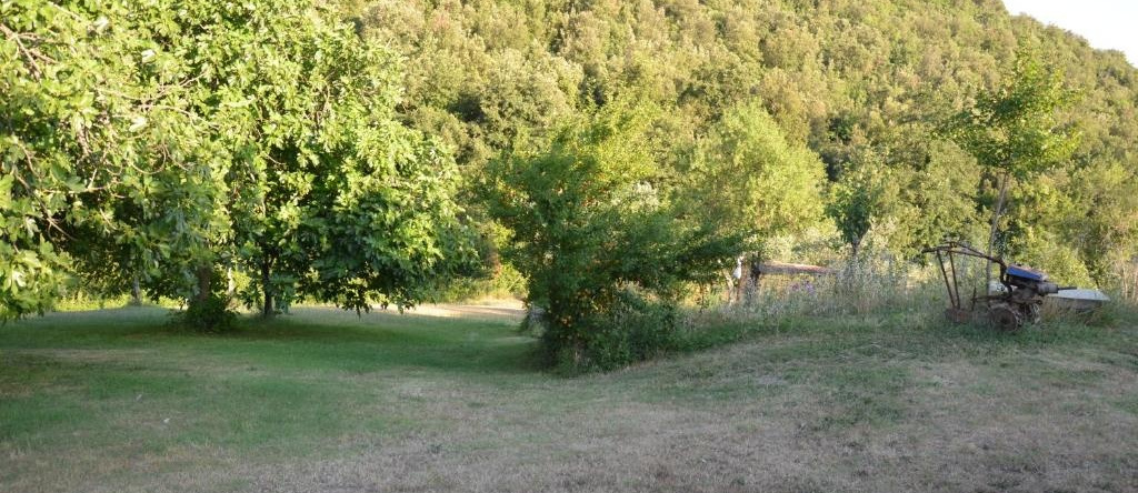 Casa Franceschini, Поджио Миртето — фото 1