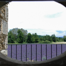 la Moutière- Gîte La Voûte, Colonzelle — photo 4