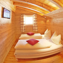 Almchalet Alpenflora, Верфенвенг — фото 5