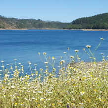 Aguas Belas b& be T1 Blue, Ferreira do Zezere — photo 5