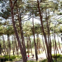 Camping Bel Air, 格吕 — 照片 4