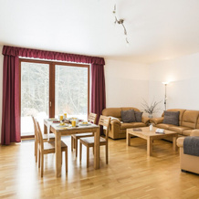 Amenity Resort Ceska Kanada, 新比斯特日采 — 照片 3