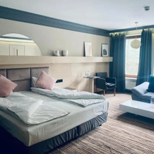 Hotel Podkowa Spa Wellness, 瑟沃 — 照片 5