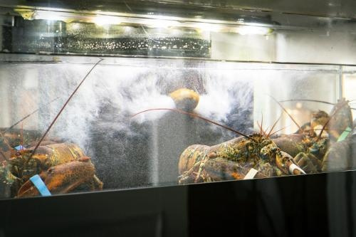 Mezzo Restaurant & Kamers, 布拉姆特 — 照片 1