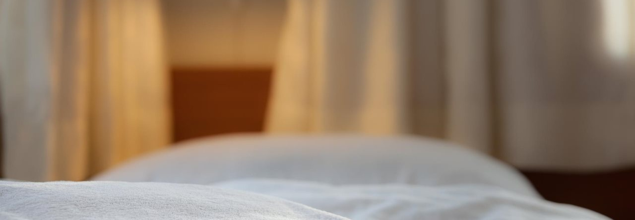 Hotel Drangshlid, 斯科加尔 — 照片 1