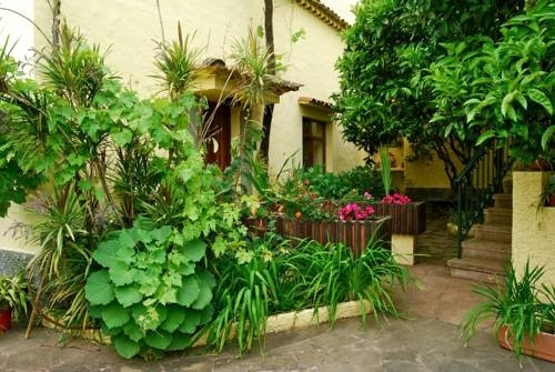 Casa Rural de Tío Félix, 维加-德圣马特奥 — 照片 1
