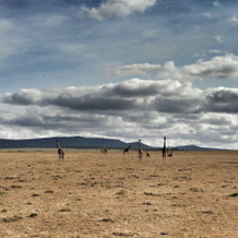 Encounter Mara Camp, Keekorok — photo 2
