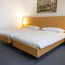 Hotel Coronado, Mendrisio — photo 4