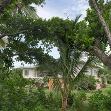 Sejala Beach Huts, 米申海滩 — 照片 5