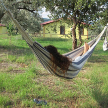 Holiday home Stella di Sicilia, 卡罗尼亚 — 照片 3