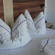 B&B Appartements GLUNGEZER, 图尔费斯 — 照片 3