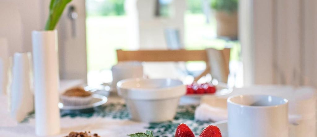 Agriturismo Ca' Bianchini, 西莱亚 — 照片 1