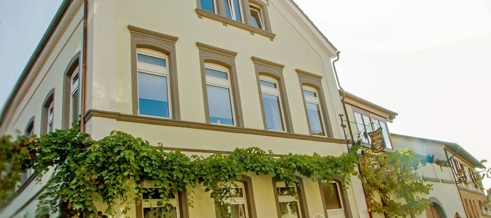 Hofgarten Rosa, Ilbesheim — photo 1
