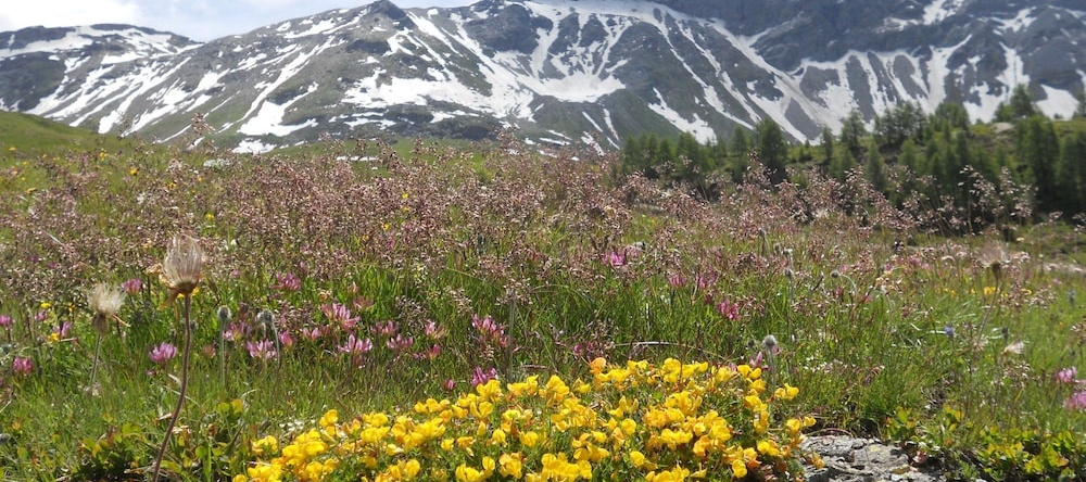 Rifugio Ca Runcasch, Ланцада — фото 1
