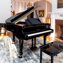 Wright Mansion - An Impressive Victorian Estate, 彼得斯堡 — 照片 3