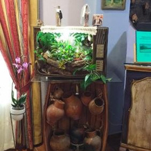 Hotel Restaurante Segobriga, 乌埃特 — 照片 2