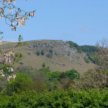 Bridgend Cottage, Эмбсей — фото 4