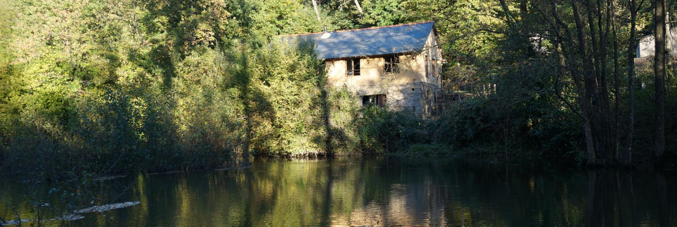 Le Triskel de Bertaud, Bain-de-Bretagne — photo 1