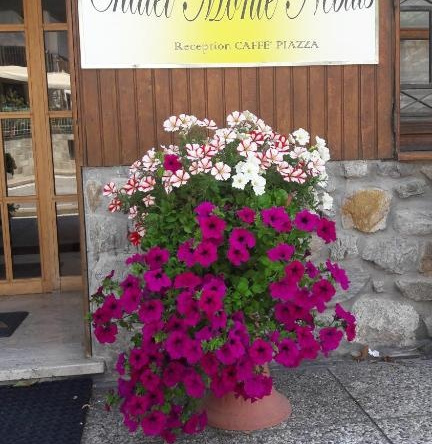 Chalet Monte Nebius, 维纳迪奥 — 照片 1