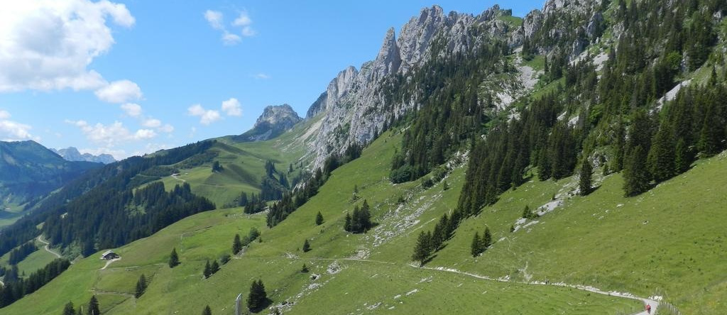 Waldruhe, 尧恩 — 照片 1