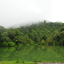 SanJose Holiday Home Resort, 维拉杰佩特 — 照片 4