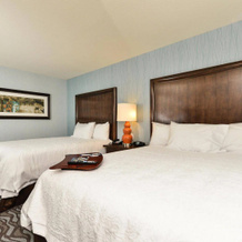 Hampton Inn Corning/Painted Post, Gang Mills — photo 4