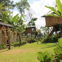 Bali Tree House Pelangi, Батурити — фото 4