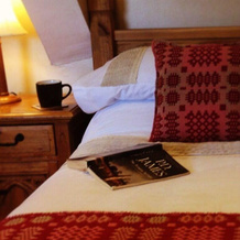 Llwyn Onn Guest House, Pentre-Foelas — photo 4