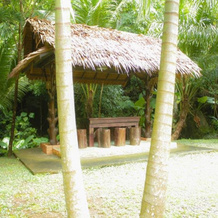 Raipreda Homestay, 奥勒 — 照片 5
