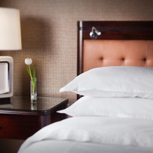 Sheraton Chicago O Hare Airport Hotel, 罗斯蒙特 — 照片 4