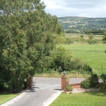Bunratty Heights Guesthouse, Банратти — фото 4