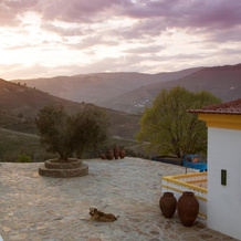 Quinta Da Côrte, Табуасу — фото 2