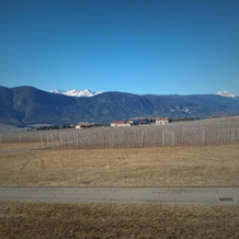 Agritur Maso San Bartolomeo, 罗梅诺 — 照片 3