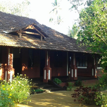 Big Banana Island Retreat, Vypin — photo 3