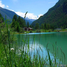 Aparthotel Monte Rosa - Tasch, Taesch — photo 4