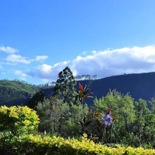 High Grove Bungalow, Ramboda — photo 4