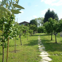 Modern Accommodation, Just Renovated, Private Garden, Wifi, Near Treviso, 沃尔帕戈德尔蒙泰洛 — 照片 4