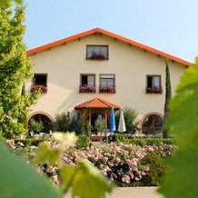 Villa Hochdörfer Gästehaus, Landau in der Pfalz — photo 4