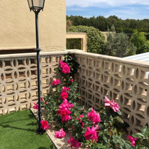 Finca Karicia Business Suite, 卡斯塔利亚 — 照片 3